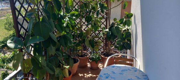 6 rooms Apartment in Montesilvano, Italy No. 96630 2