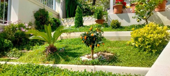 6 rooms Apartment in Montesilvano, Italy No. 96630 16