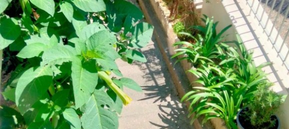 6 rooms Apartment in Montesilvano, Italy No. 96630 11