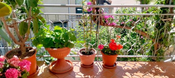 6 rooms Apartment in Montesilvano, Italy No. 96630 10