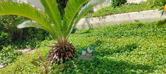 6 rooms Apartment in Montesilvano, Italy No. 96630 17