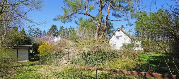  Land in Penzing, Austria No. 137591 7