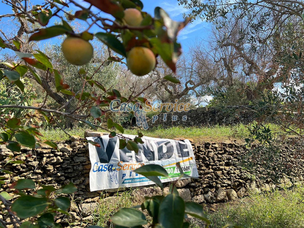 700m² Land in Tuglie, Italy No. 232305