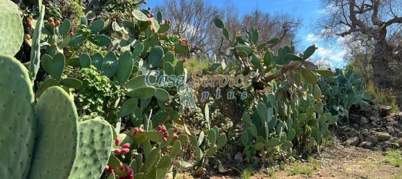 700m² Land in Tuglie, Italy No. 232305 14