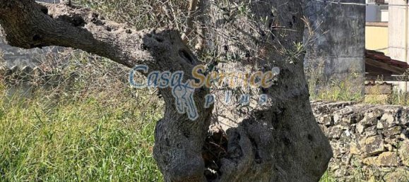 700m² Land in Tuglie, Italy No. 232305 5