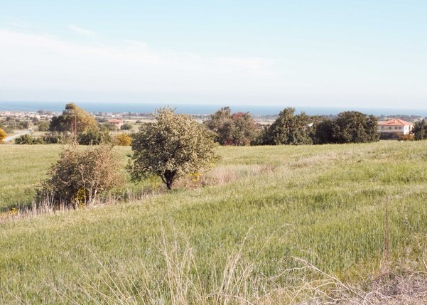 Hotel in Alethriko, Cyprus 5352m², Nr. 8609