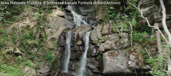 4-Zimmer Wohnung in Reggello, Italy, Nr. 279533 2