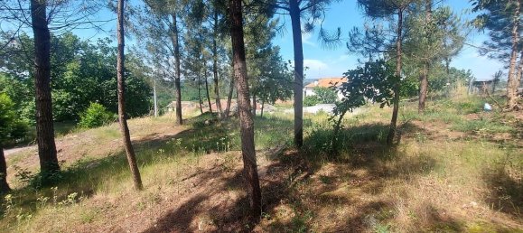 Casa T1 em Lousada, Portugal N.º 16353 3