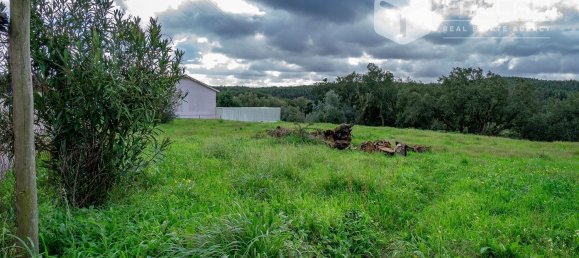 6800m² Land in Rio Maior, Portugal No. 79657 3