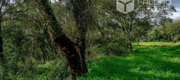 6800m² Land in Rio Maior, Portugal No. 79657 14