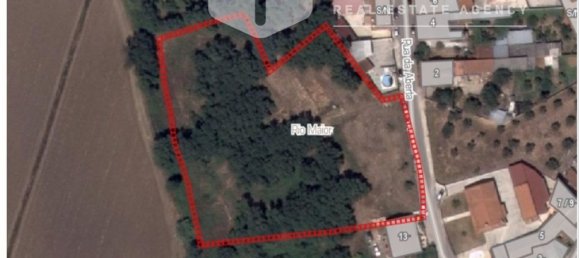 6800m² Land in Rio Maior, Portugal No. 79657 37