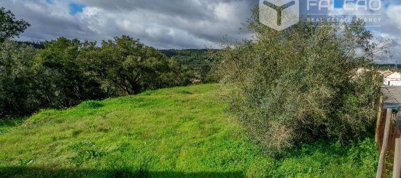 6800m² Land in Rio Maior, Portugal No. 79657 4