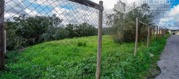 6800m² Land in Rio Maior, Portugal No. 79657 34