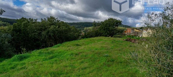 6800m² Land in Rio Maior, Portugal No. 79657 8