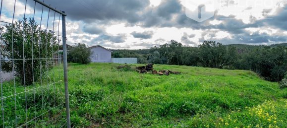 6800m² Land in Rio Maior, Portugal No. 79657 32