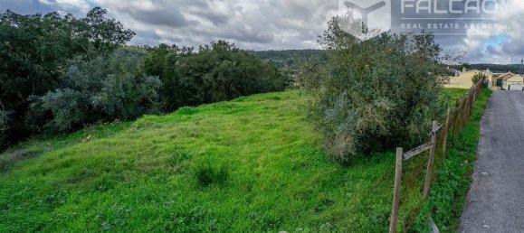 6800m² Land in Rio Maior, Portugal No. 79657 35
