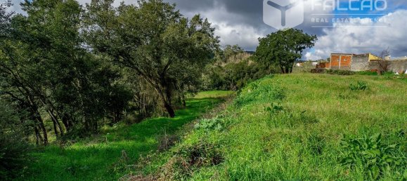 6800m² Land in Rio Maior, Portugal No. 79657 10