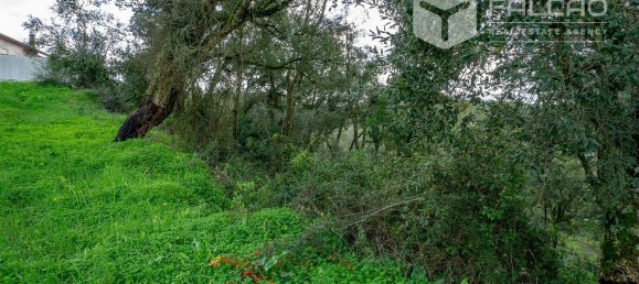 6800m² Land in Rio Maior, Portugal No. 79657 19