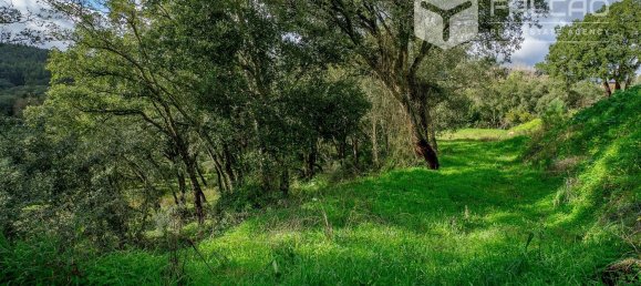 6800m² Land in Rio Maior, Portugal No. 79657 12