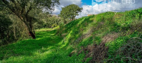 6800m² Land in Rio Maior, Portugal No. 79657 13