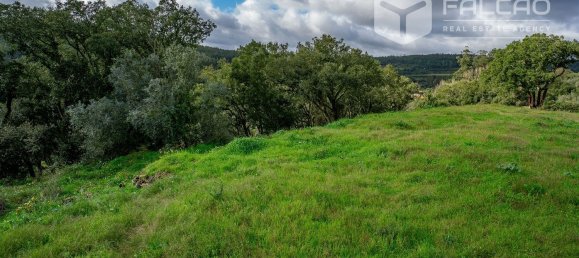 6800m² Land in Rio Maior, Portugal No. 79657 9