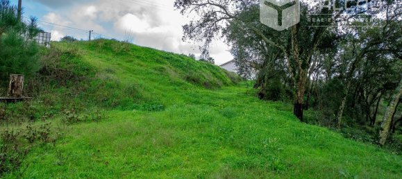 6800m² Land in Rio Maior, Portugal No. 79657 20