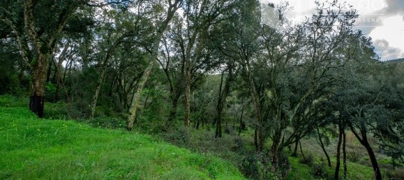 6800m² Land in Rio Maior, Portugal No. 79657 22