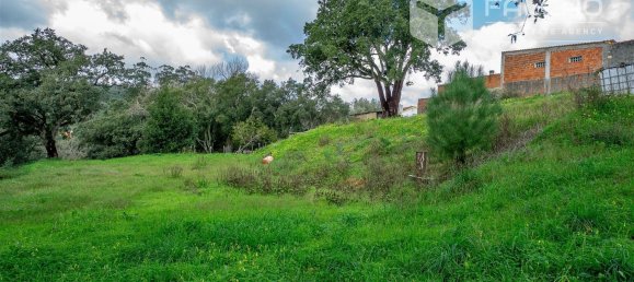 6800m² Land in Rio Maior, Portugal No. 79657 16