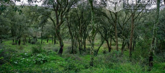 6800m² Land in Rio Maior, Portugal No. 79657 17