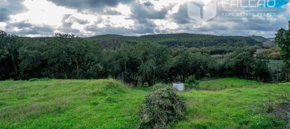 6800m² Land in Rio Maior, Portugal No. 79657 30