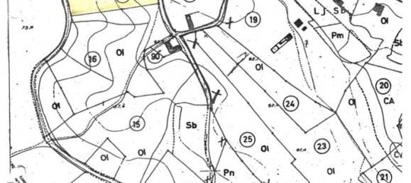 6800m² Land in Rio Maior, Portugal No. 79657 36