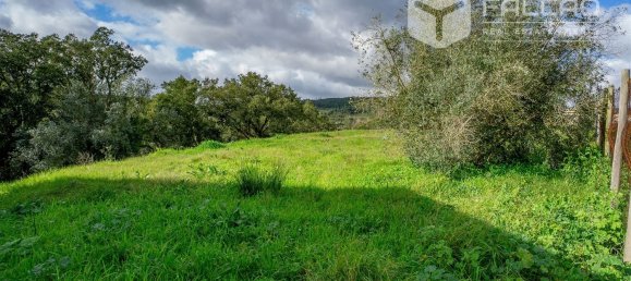 6800m² Land in Rio Maior, Portugal No. 79657 5