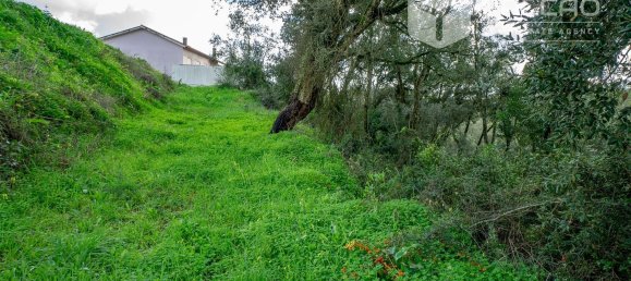 6800m² Land in Rio Maior, Portugal No. 79657 18