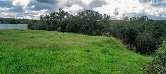 6800m² Land in Rio Maior, Portugal No. 79657 25