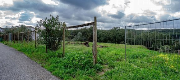 6800m² Land in Rio Maior, Portugal No. 79657 2