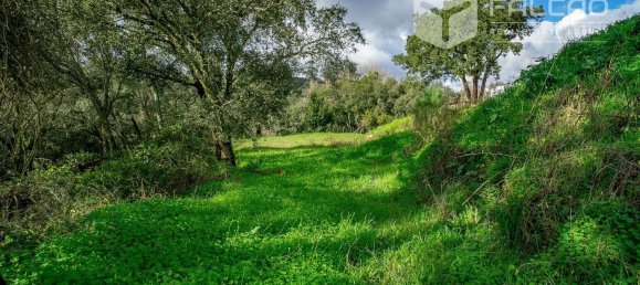 6800m² Land in Rio Maior, Portugal No. 79657 15