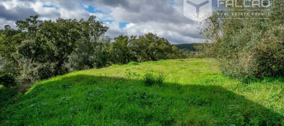 6800m² Land in Rio Maior, Portugal No. 79657 6