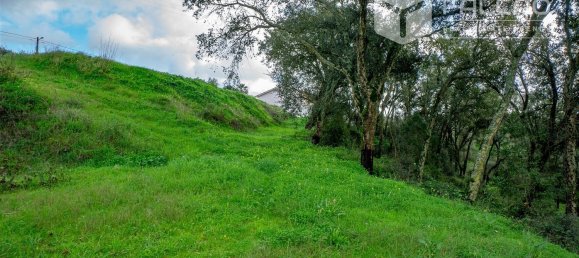 6800m² Land in Rio Maior, Portugal No. 79657 21