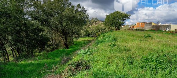 6800m² Land in Rio Maior, Portugal No. 79657 11