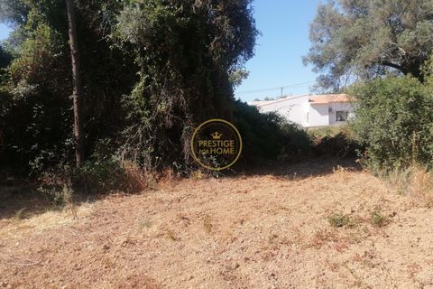 445m² Land in Loule, Portugal No. 221737