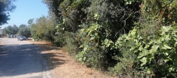 445m² Land in Loule, Portugal No. 221737 2