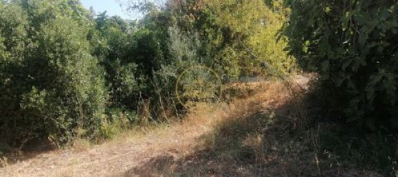 445m² Land in Loule, Portugal No. 221737 8