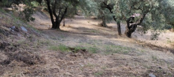 Grundstück in Barcellona Pozzo di Gotto, Italy 3500m², Nr. 265135 2