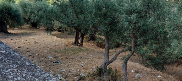 Grundstück in Barcellona Pozzo di Gotto, Italy 3500m², Nr. 265135 3