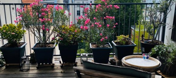 3 غرف نوم شقة في Friedenau, Germany رقم 241741 4