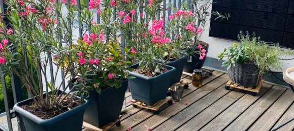 3 غرف نوم شقة في Friedenau, Germany رقم 241741 5