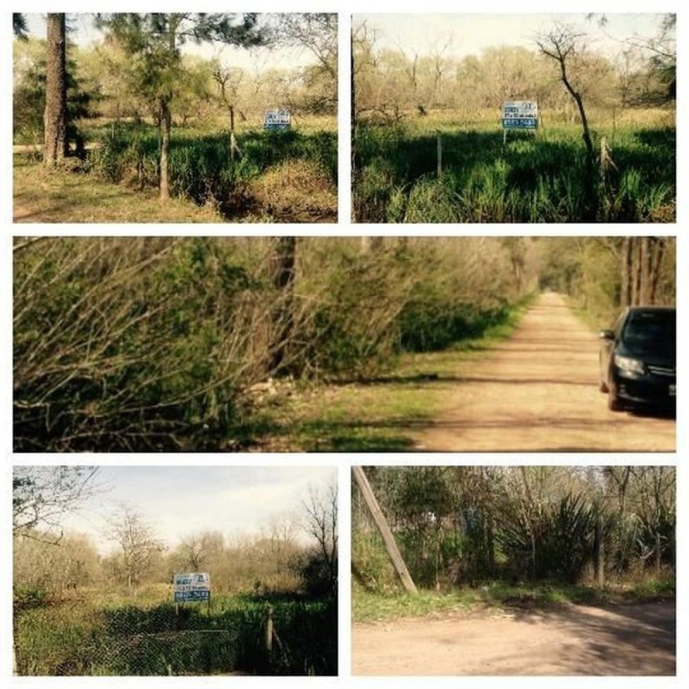 Grundstück in Tigre, Argentina, Nr. 39079