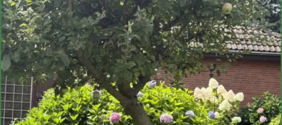 Casa de 4 dormitorios en Burscheid, Germany No. 295512 46