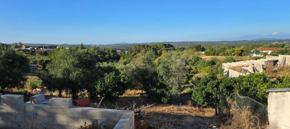 Casa T3 em Torres Novas, Portugal N.º 339958 8