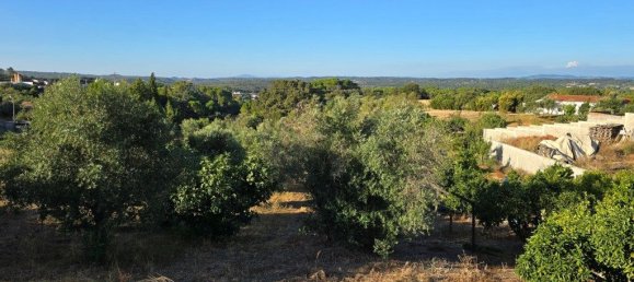 Casa T3 em Torres Novas, Portugal N.º 339958 9